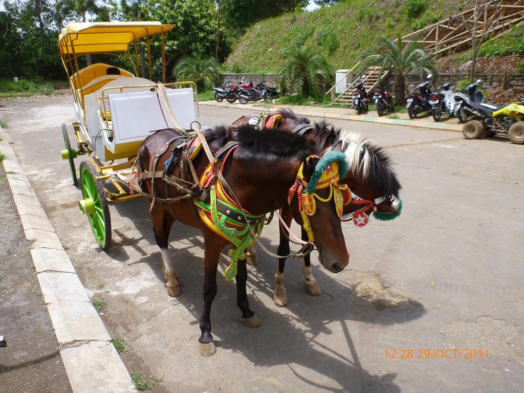 Homestay Triniti Lembang Exterior photo